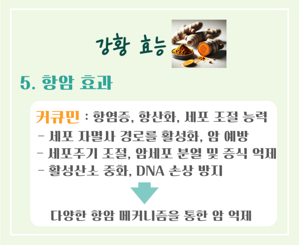 황금빛 슈퍼푸드! 강황의 효능 & 칼로리 : 커큐민의 놀라운 비밀