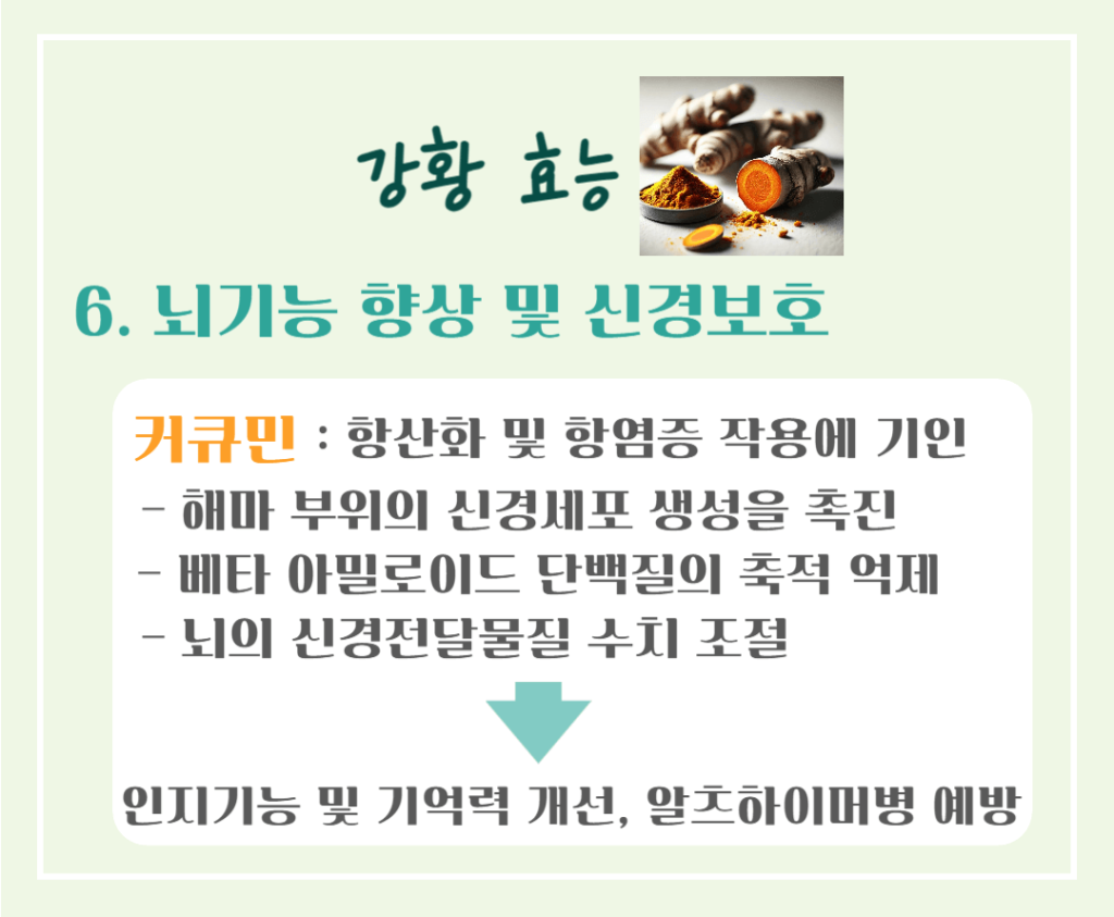 황금빛 슈퍼푸드! 강황의 효능 & 칼로리 : 커큐민의 놀라운 비밀