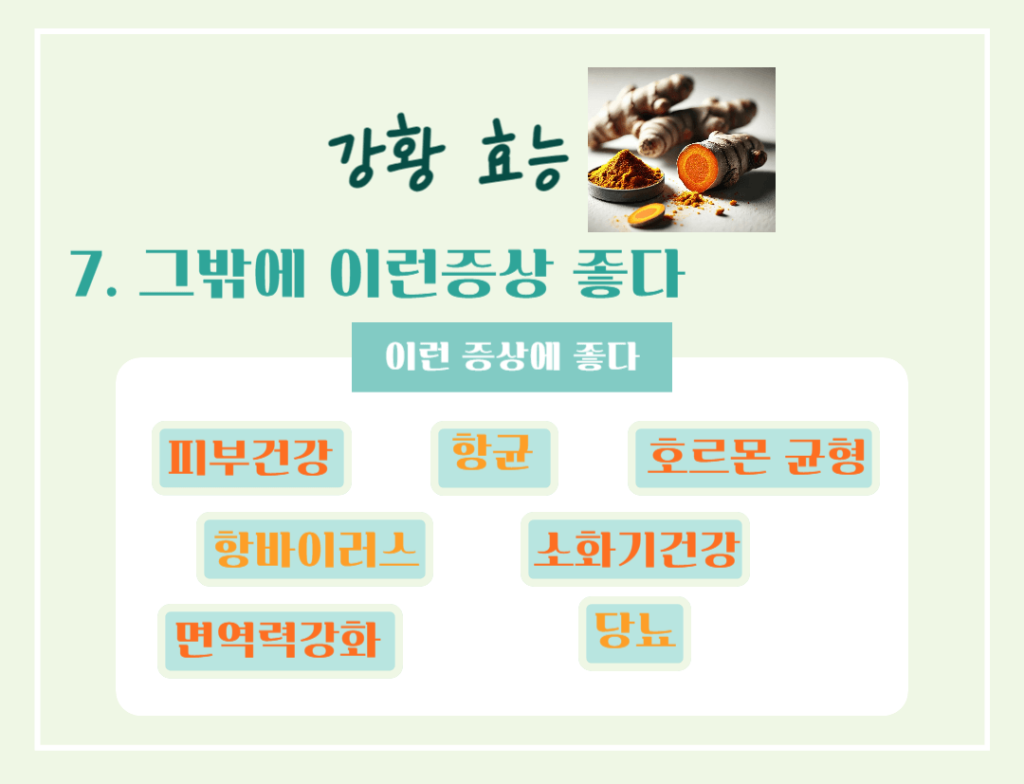 황금빛 슈퍼푸드! 강황의 효능 & 칼로리 : 커큐민의 놀라운 비밀