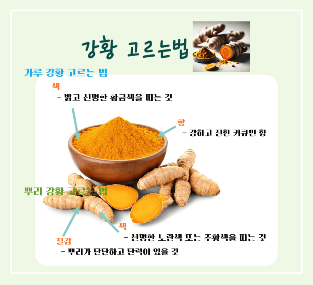 황금빛 슈퍼푸드! 강황의 효능 & 칼로리 : 커큐민의 놀라운 비밀