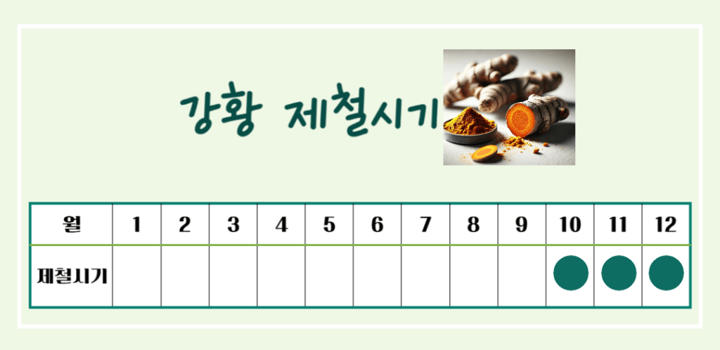 황금빛 슈퍼푸드! 강황의 효능 & 칼로리 : 커큐민의 놀라운 비밀