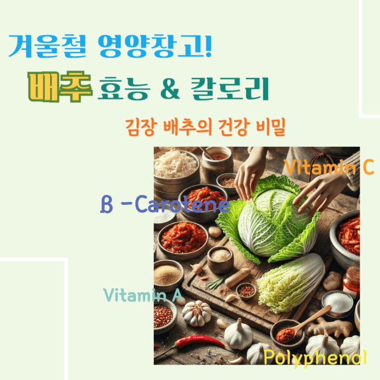 겨울철 영양창고! 배추 효능 & 칼로리 : 김장 배추의 건강 비밀