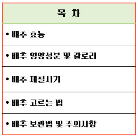 겨울철 영양창고! 배추 효능 & 칼로리 : 김장 배추의 건강 비밀