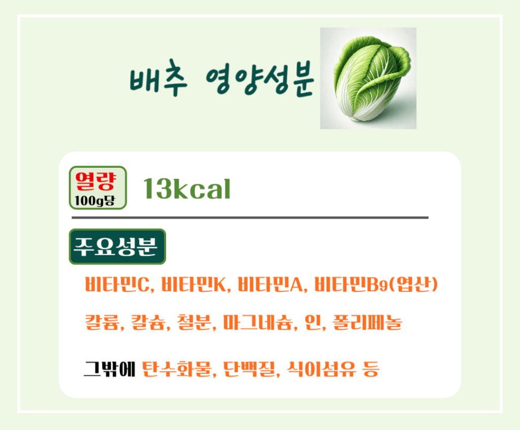겨울철 영양창고! 배추 효능 & 칼로리 : 김장 배추의 건강 비밀