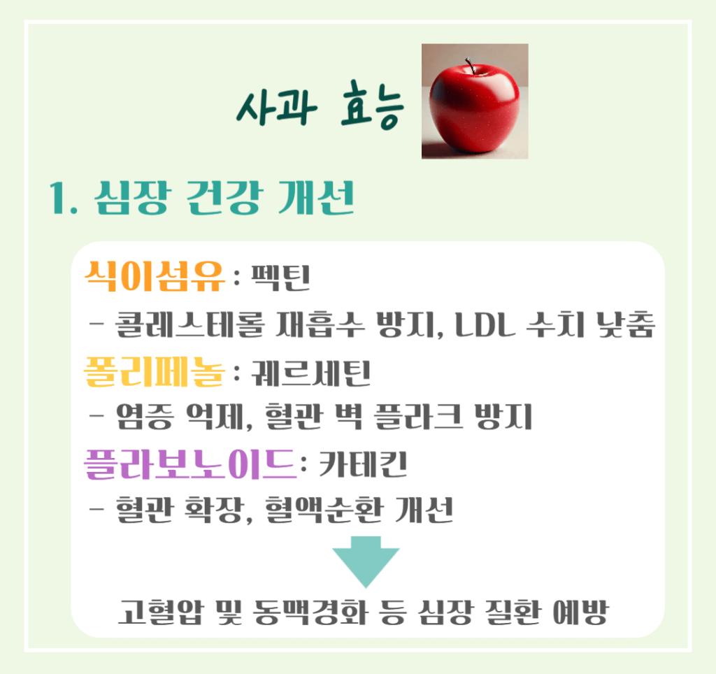 상큼한 빨간 유혹! 사과 효능 & 칼로리 : 매일 먹으면 달라지는 건강 비밀