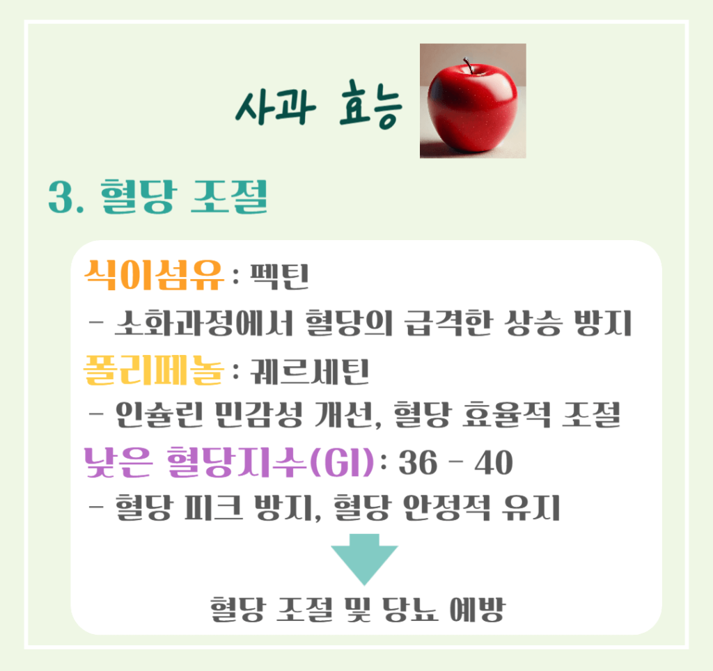 상큼한 빨간 유혹! 사과 효능 & 칼로리 : 매일 먹으면 달라지는 건강 비밀