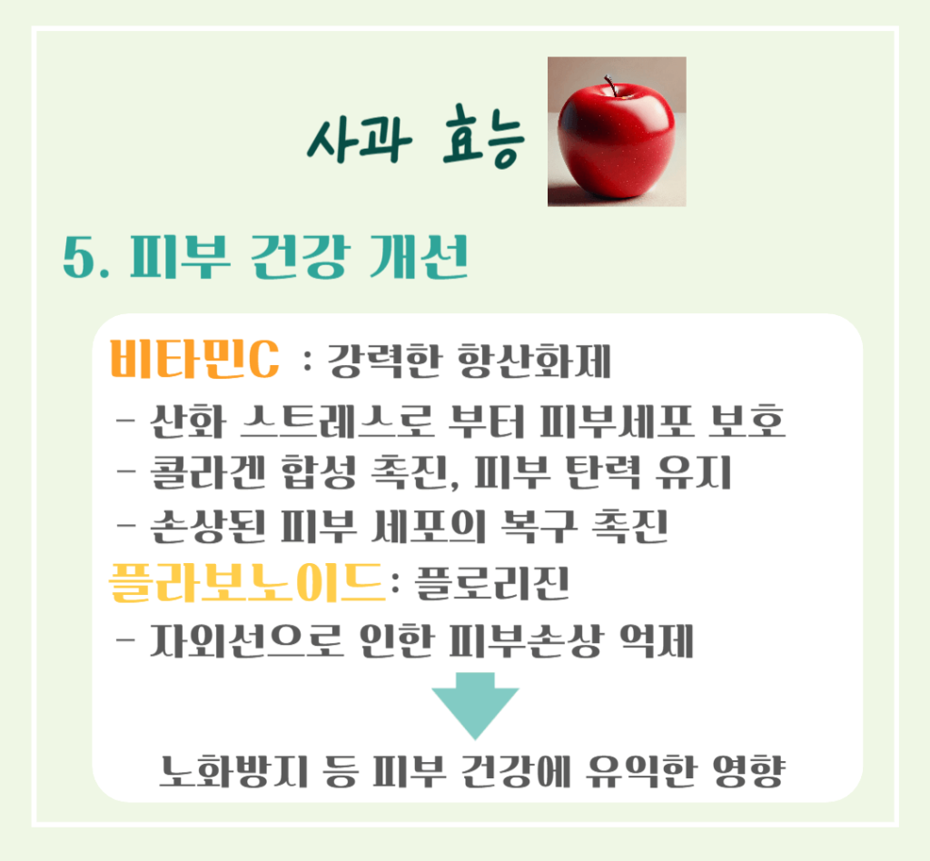 상큼한 빨간 유혹! 사과 효능 & 칼로리 : 매일 먹으면 달라지는 건강 비밀