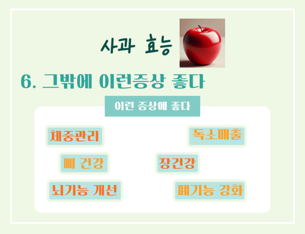 상큼한 빨간 유혹! 사과 효능 & 칼로리 : 매일 먹으면 달라지는 건강 비밀