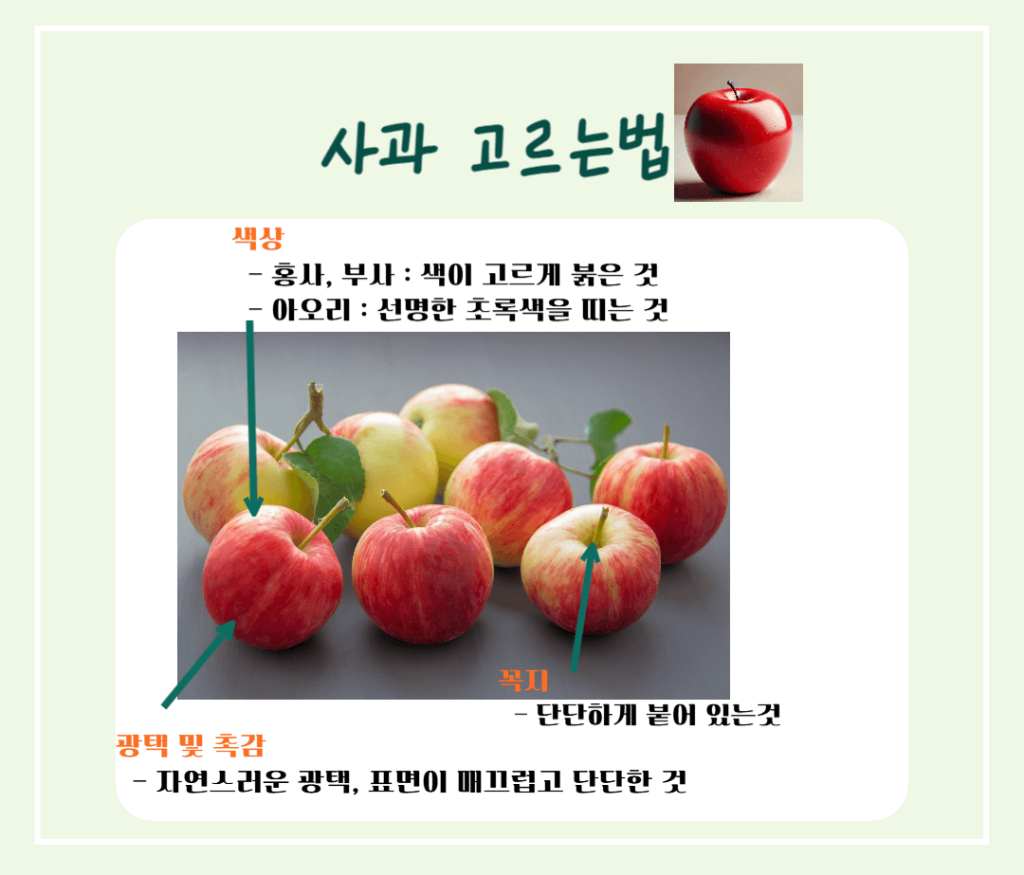 상큼한 빨간 유혹! 사과 효능 & 칼로리 : 매일 먹으면 달라지는 건강 비밀