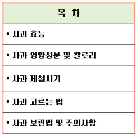 상큼한 빨간 유혹! 사과 효능 & 칼로리 : 매일 먹으면 달라지는 건강 비밀