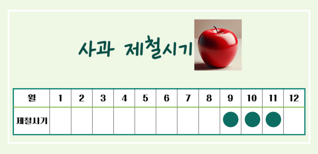 상큼한 빨간 유혹! 사과 효능 & 칼로리 : 매일 먹으면 달라지는 건강 비밀