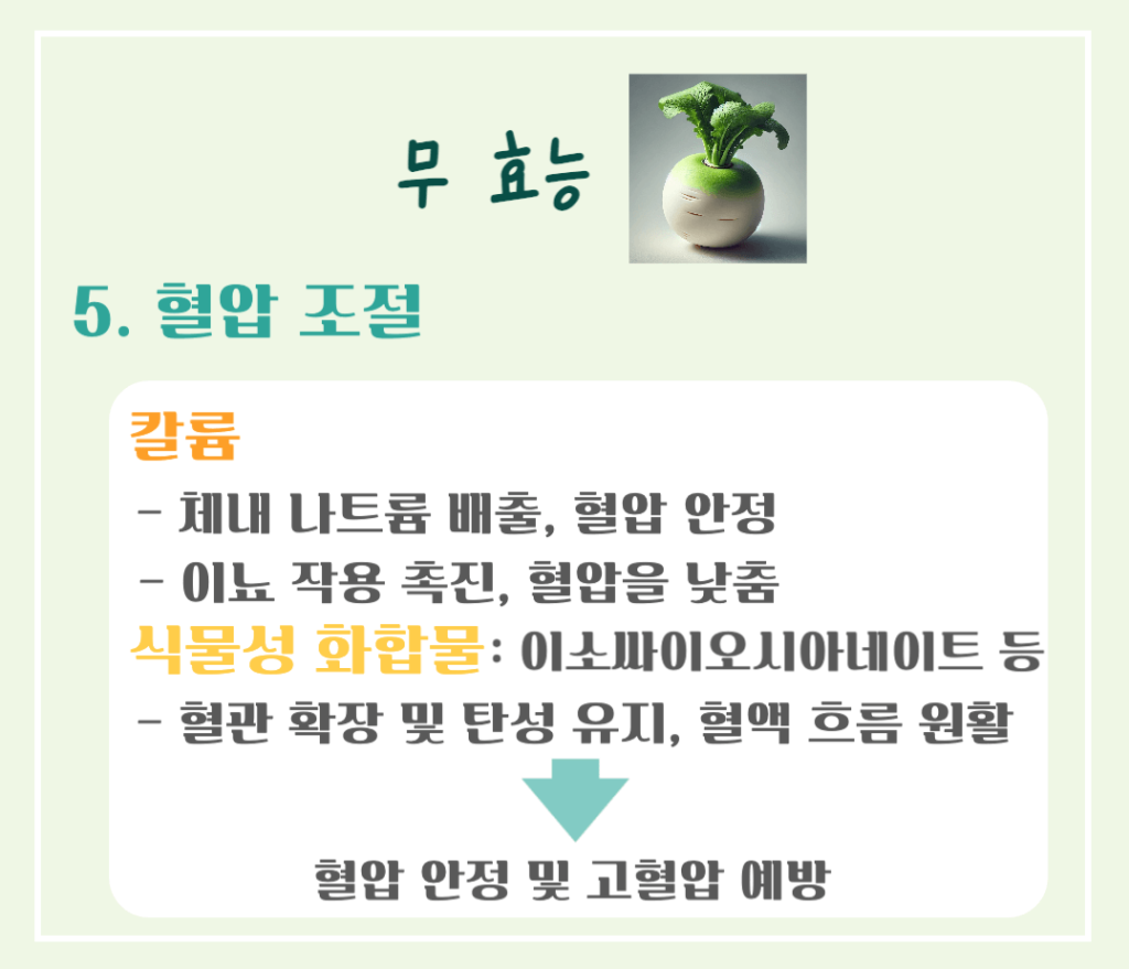 싱그러운 초록빛 건강채소! 무 효능 & 칼로리 총정리 : 소화촉진 부터 강력한 항암효과까지