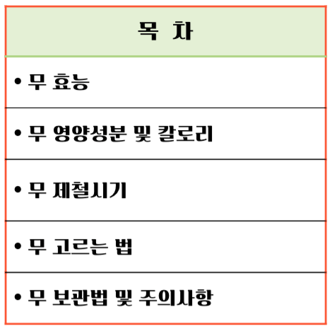 싱그러운 초록빛 건강채소! 무 효능 & 칼로리 총정리 : 소화촉진 부터 강력한 항암효과까지