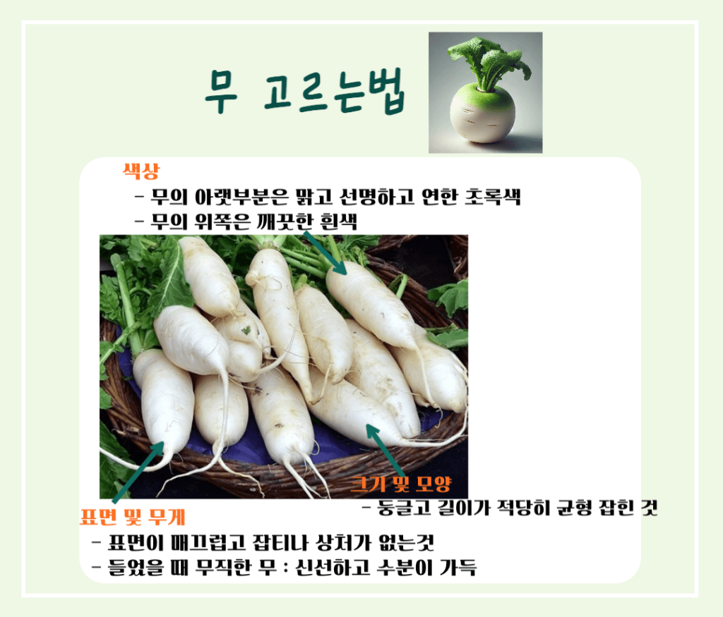 싱그러운 초록빛 건강채소! 무 효능 & 칼로리 총정리 : 소화촉진 부터 강력한 항암효과까지