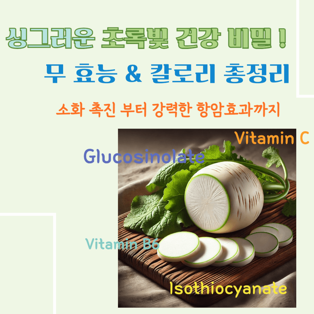 싱그러운 초록빛 건강채소! 무 효능 & 칼로리 총정리 : 소화촉진 부터 강력한 항암효과까지