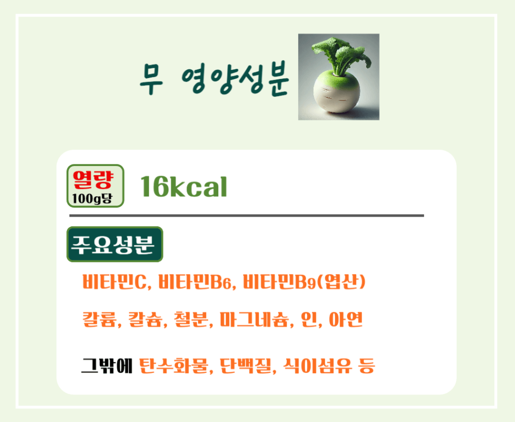 싱그러운 초록빛 건강채소! 무 효능 & 칼로리 총정리 : 소화촉진 부터 강력한 항암효과까지