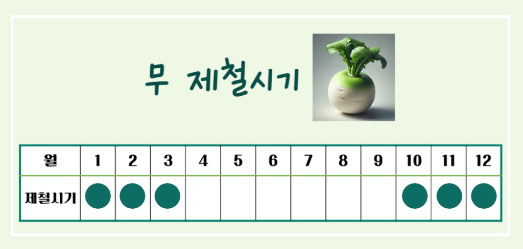 싱그러운 초록빛 건강채소! 무 효능 & 칼로리 총정리 : 소화촉진 부터 강력한 항암효과까지