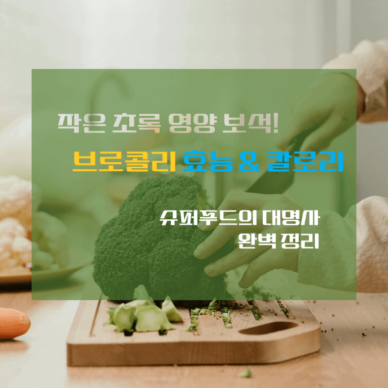작은 초록 영양보석! 브로콜리 효능 & 칼로리 : 슈퍼푸드의 대명사 완벽정리