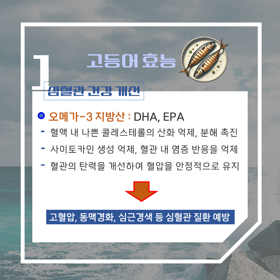 푸른 줄무늬의 바다 보물! 고등어 효능 & 칼로리 : 심장을 살리고 두뇌를 깨우다