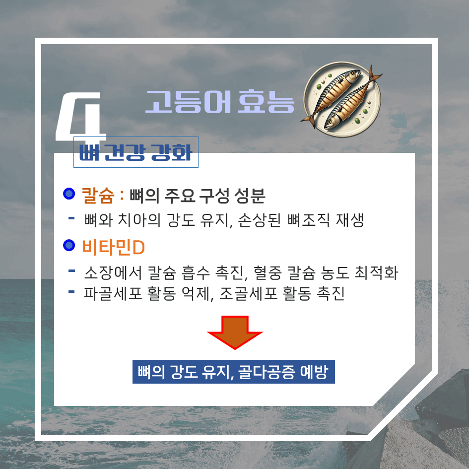 푸른 줄무늬의 바다 보물! 고등어 효능 & 칼로리 : 심장을 살리고 두뇌를 깨우다