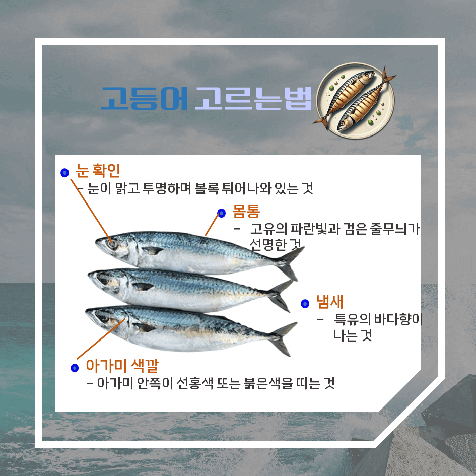 푸른 줄무늬의 바다 보물! 고등어 효능 & 칼로리 : 심장을 살리고 두뇌를 깨우다