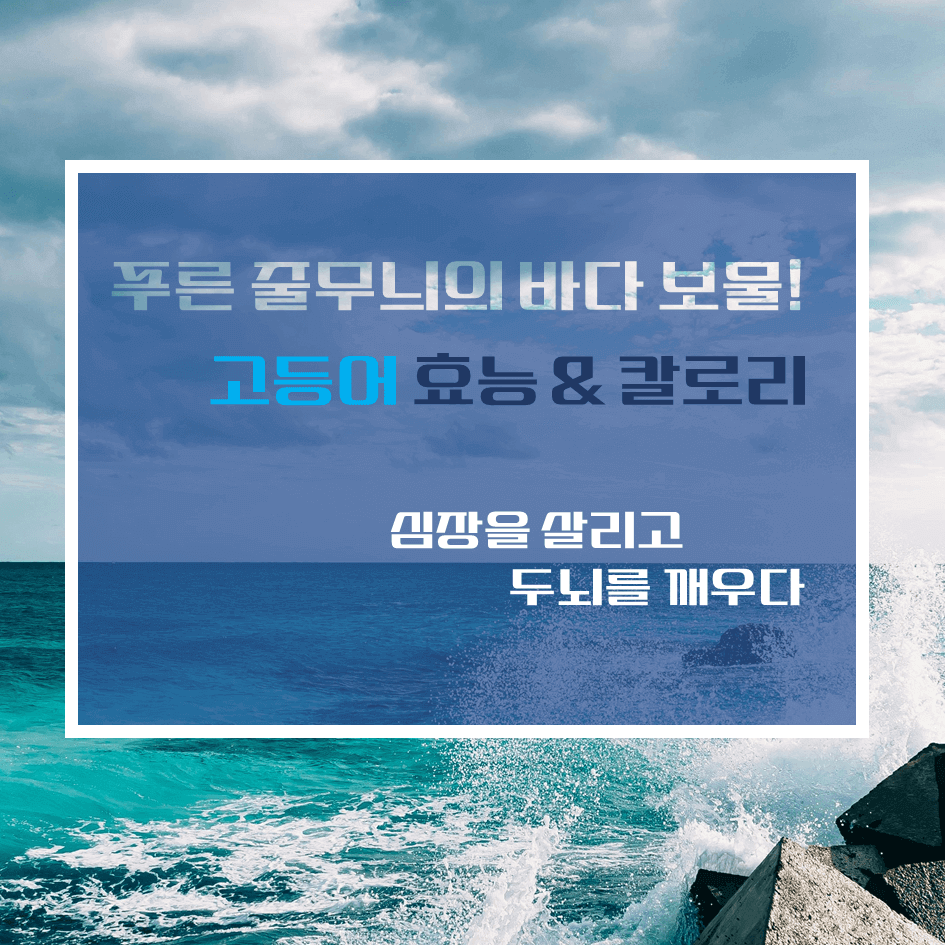푸른 줄무늬의 바다 보물! 고등어 효능 & 칼로리 : 심장을 살리고 두뇌를 깨우다