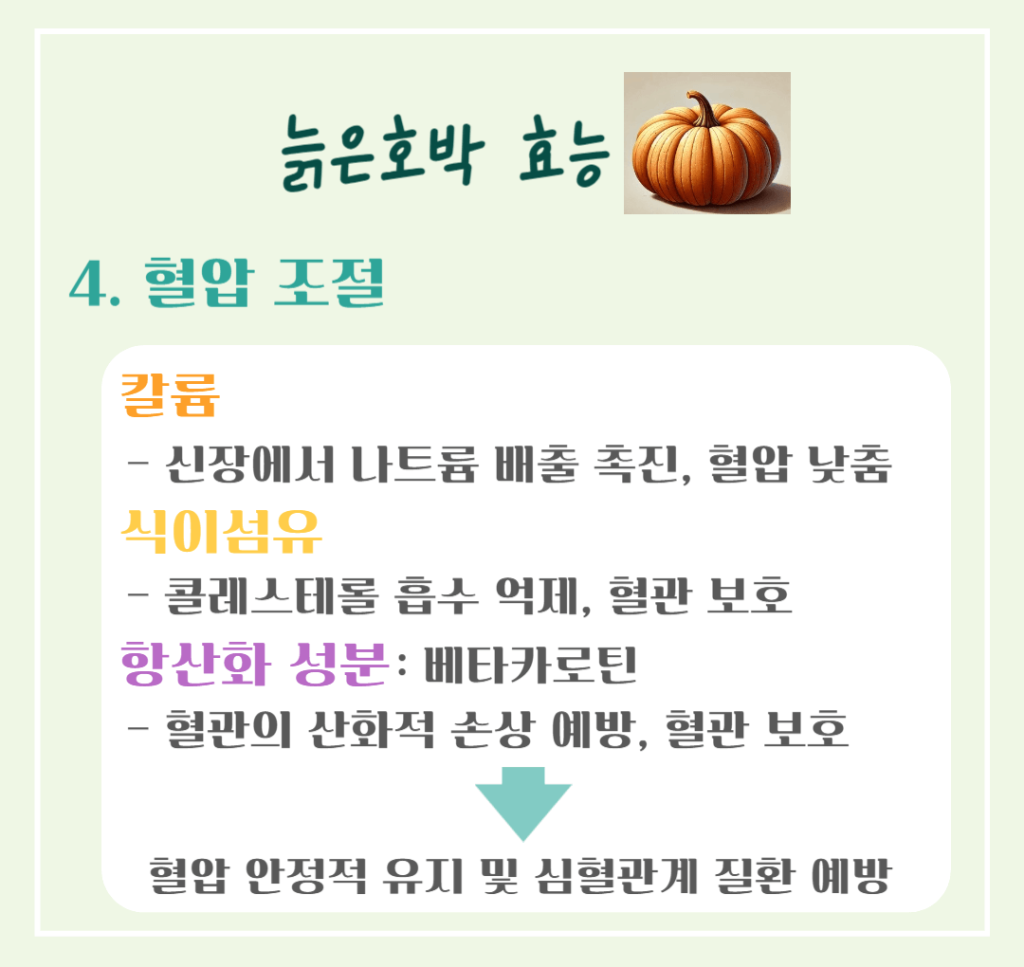 풍요와 장수의 상징! 늙은 호박 효능 & 칼로리 : 추수감사절 필수 식품인 이유