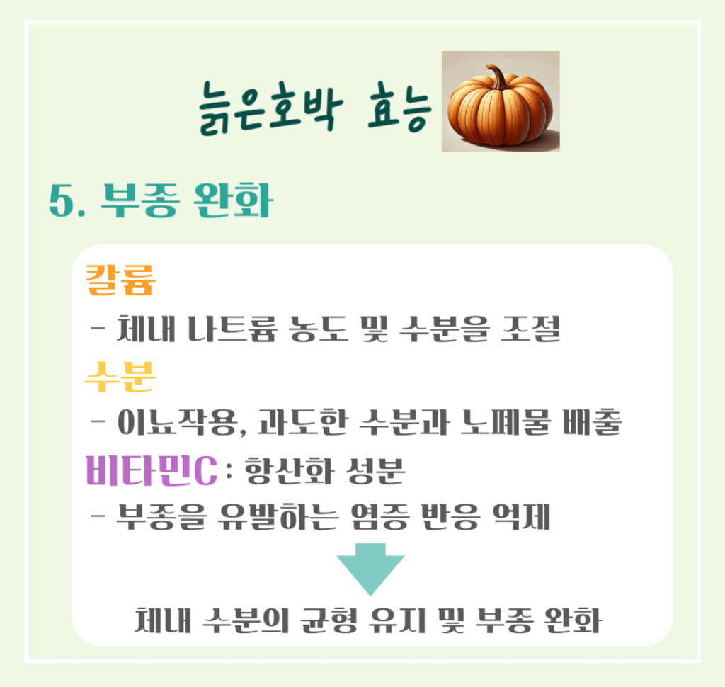 풍요와 장수의 상징! 늙은 호박 효능 & 칼로리 : 추수감사절 필수 식품인 이유