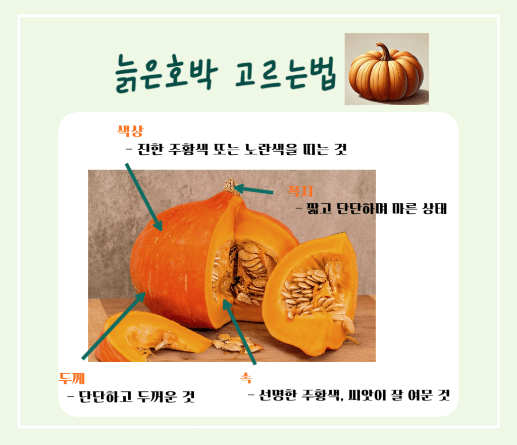풍요와 장수의 상징! 늙은 호박 효능 & 칼로리 : 추수감사절 필수 식품인 이유