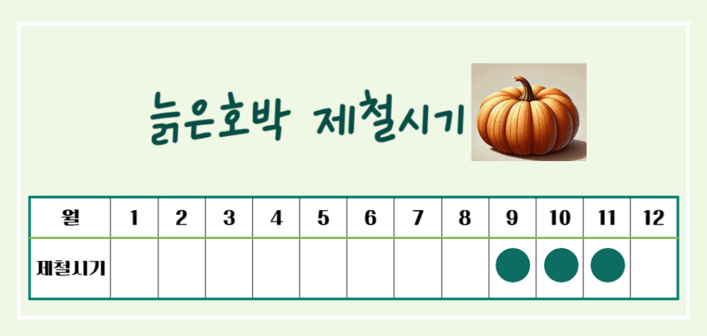 풍요와 장수의 상징! 늙은 호박 효능 & 칼로리 : 추수감사절 필수 식품인 이유