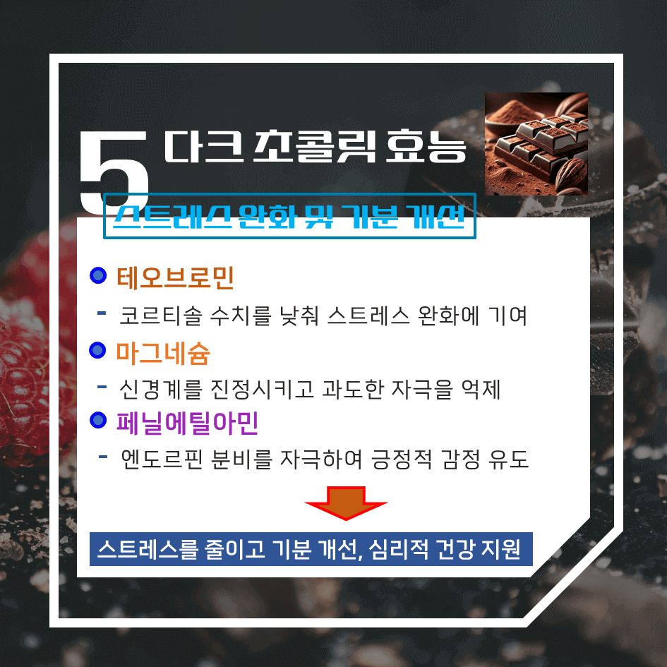 건강한 달콤함! 다크 초콜릿 효능 & 칼로리 : 스트레스 해소부터 항산화까지