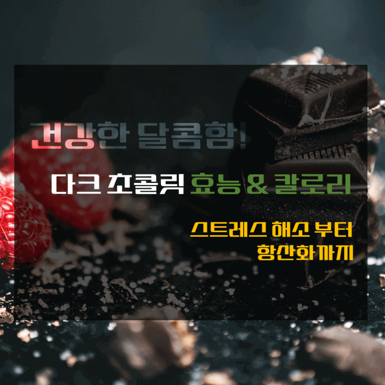 건강한 달콤함! 다크 초콜릿 효능 & 칼로리 : 스트레스 해소부터 항산화까지