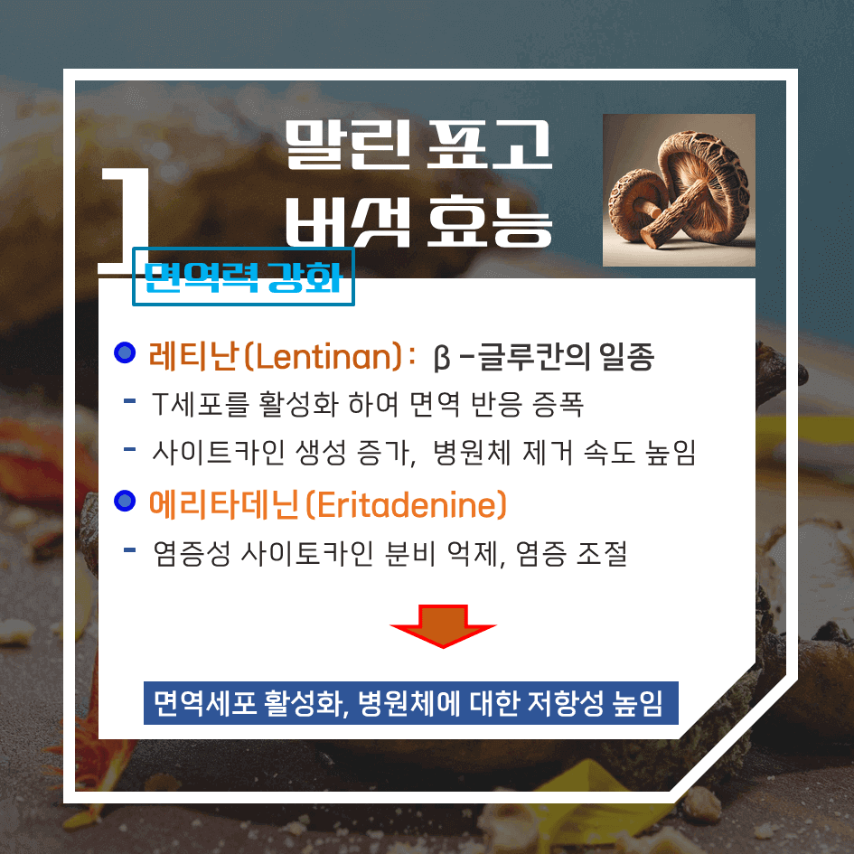 말리면 더 강력한! 말린 표고버섯 효능 & 칼로리 : 비타민D2의 보고