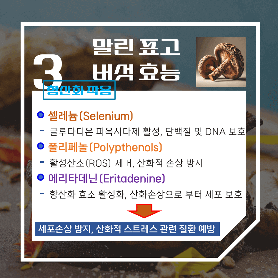 말리면 더 강력한! 말린 표고버섯 효능 & 칼로리 : 비타민D2의 보고