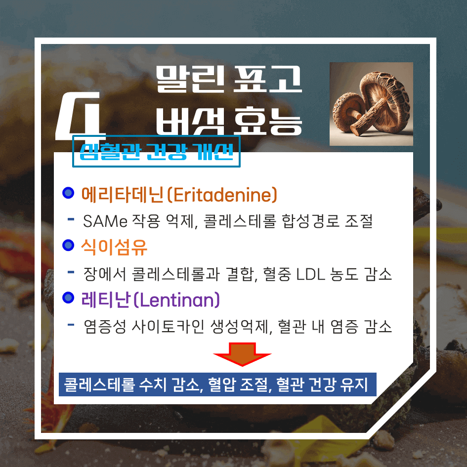 말리면 더 강력한! 말린 표고버섯 효능 & 칼로리 : 비타민D2의 보고