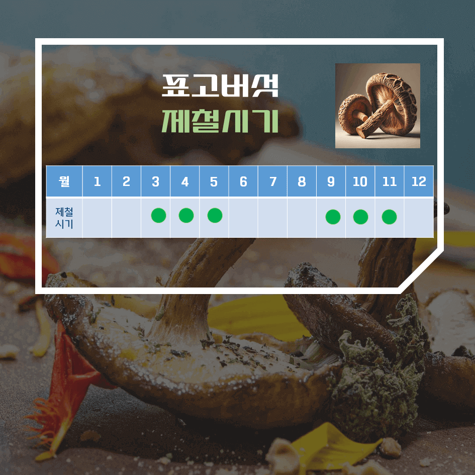 말리면 더 강력한! 말린 표고버섯 효능 & 칼로리 : 비타민D2의 보고