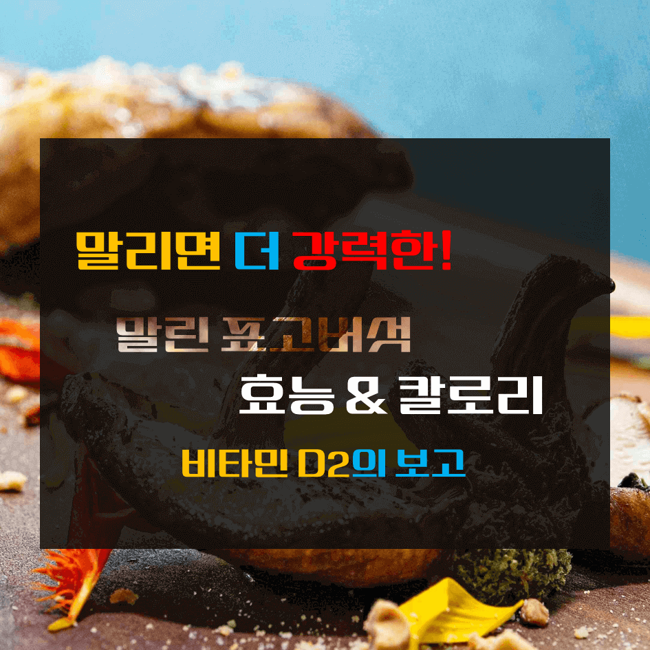 말리면 더 강력한! 말린 표고버섯 효능 & 칼로리 : 비타민D2의 보고