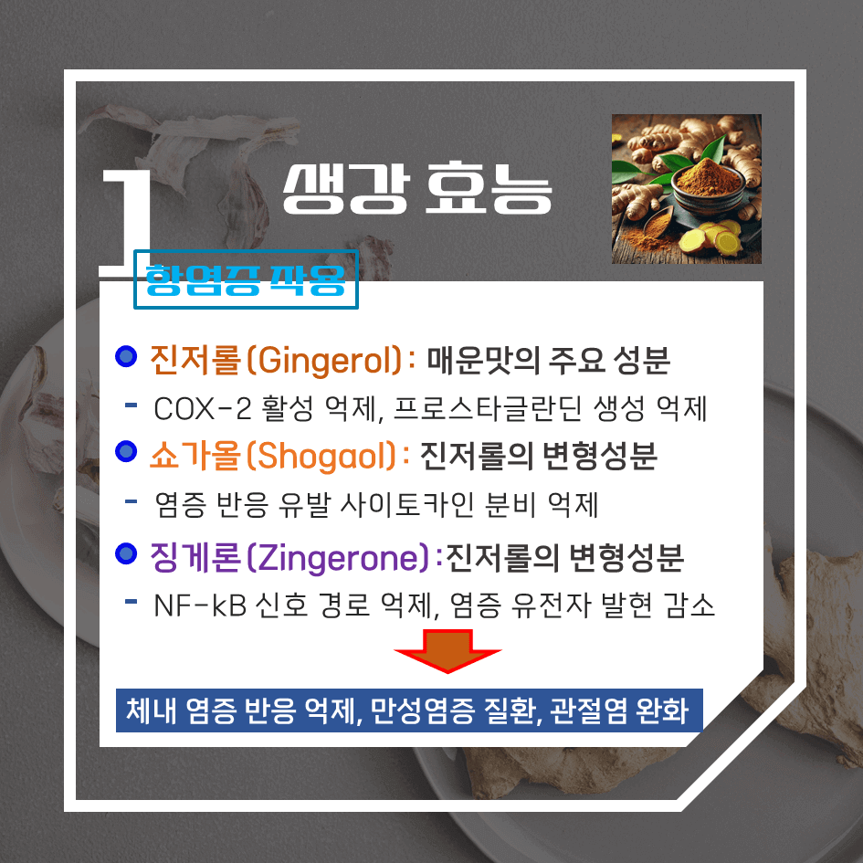 매운맛의 강력 치유제! 생강 효능 & 칼로리 : 메스꺼움과 소화불량 싹 ~ 해결