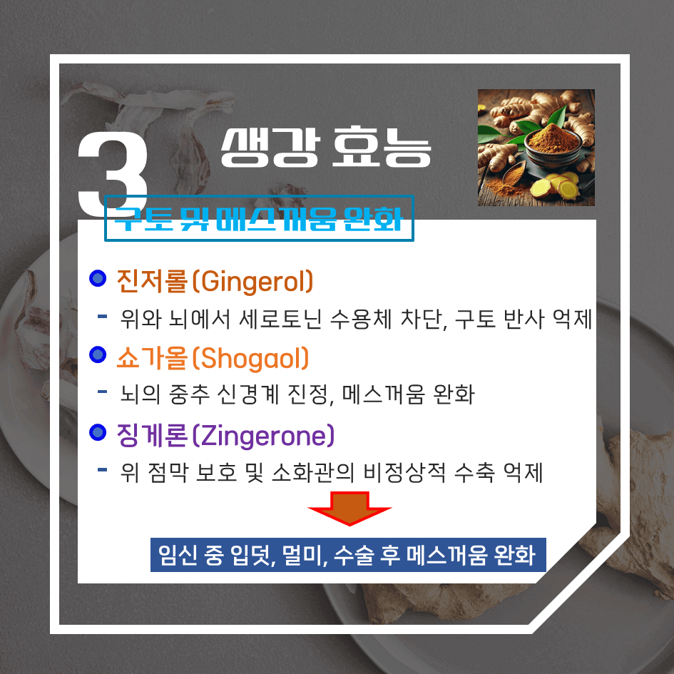 매운맛의 강력 치유제! 생강 효능 & 칼로리 : 메스꺼움과 소화불량 싹 ~ 해결