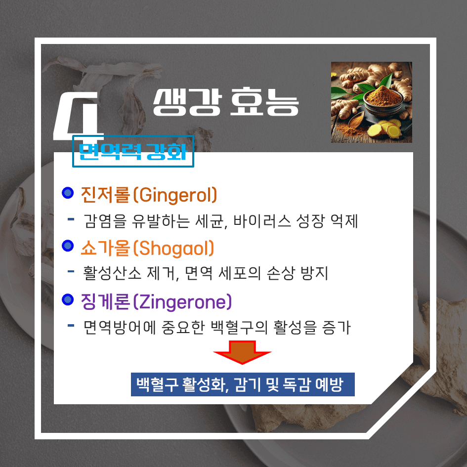 매운맛의 강력 치유제! 생강 효능 & 칼로리 : 메스꺼움과 소화불량 싹 ~ 해결