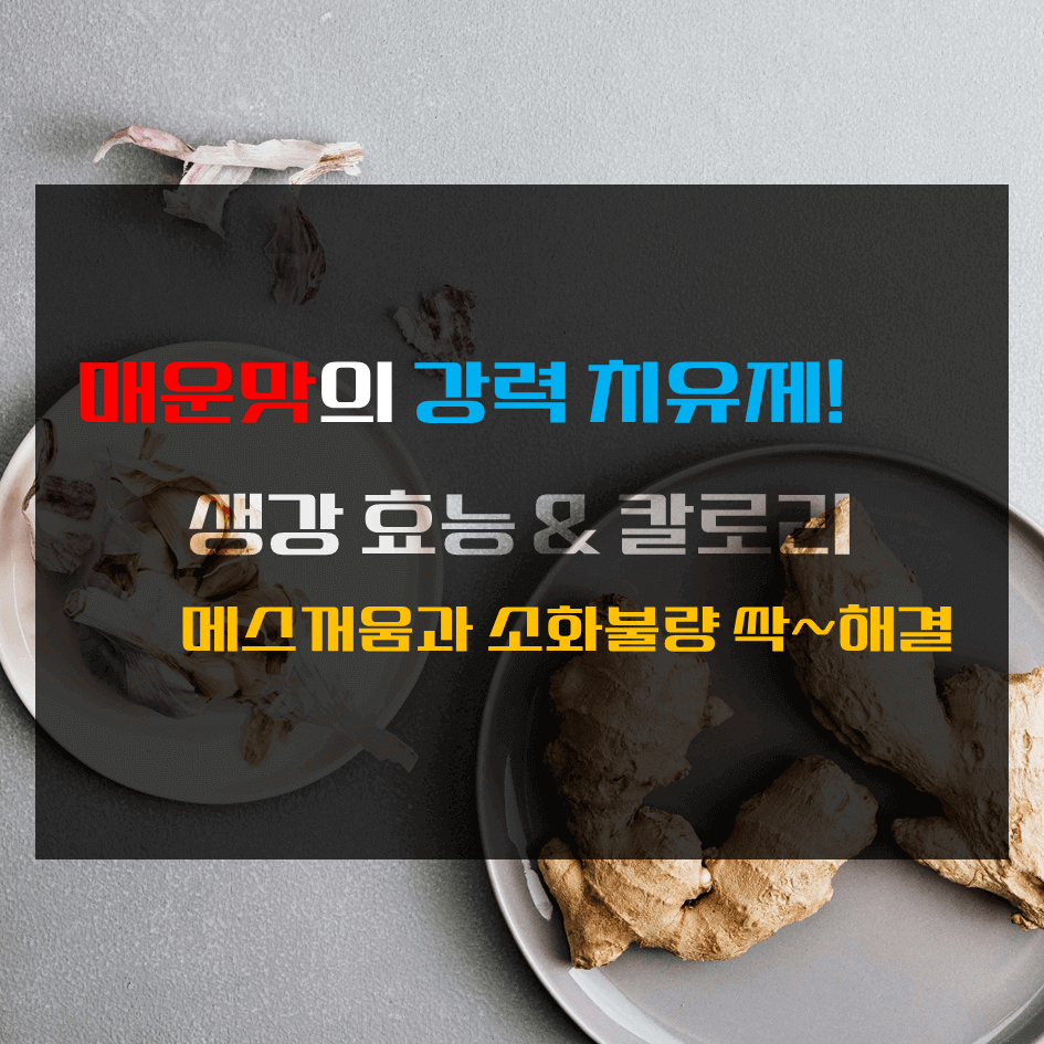 매운맛의 강력 치유제! 생강 효능 & 칼로리 : 메스꺼움과 소화불량 싹 ~ 해결