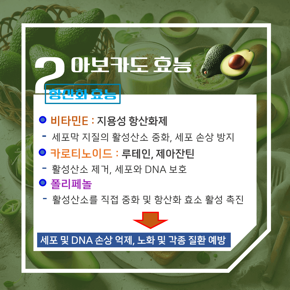 크림처럼 부드러운 녹색보물! 아보카도 효능 & 칼로리 : 매일 먹으면 좋은 이유