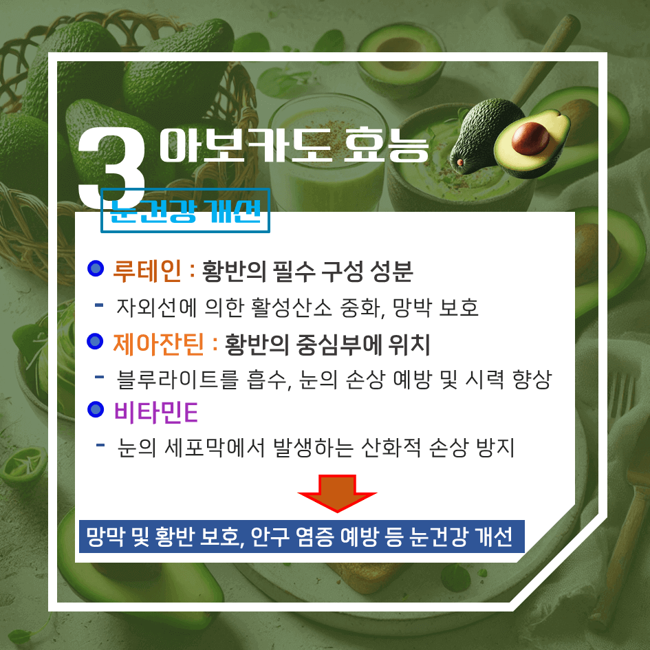크림처럼 부드러운 녹색보물! 아보카도 효능 & 칼로리 : 매일 먹으면 좋은 이유