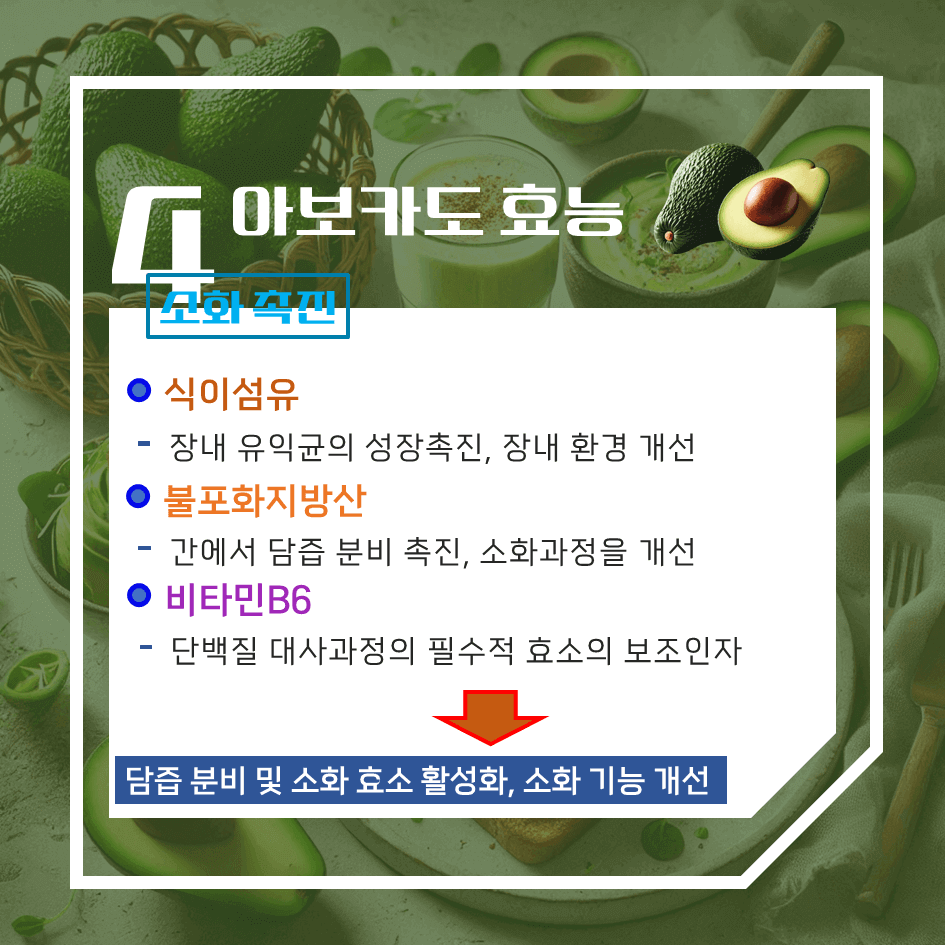 크림처럼 부드러운 녹색보물! 아보카도 효능 & 칼로리 : 매일 먹으면 좋은 이유