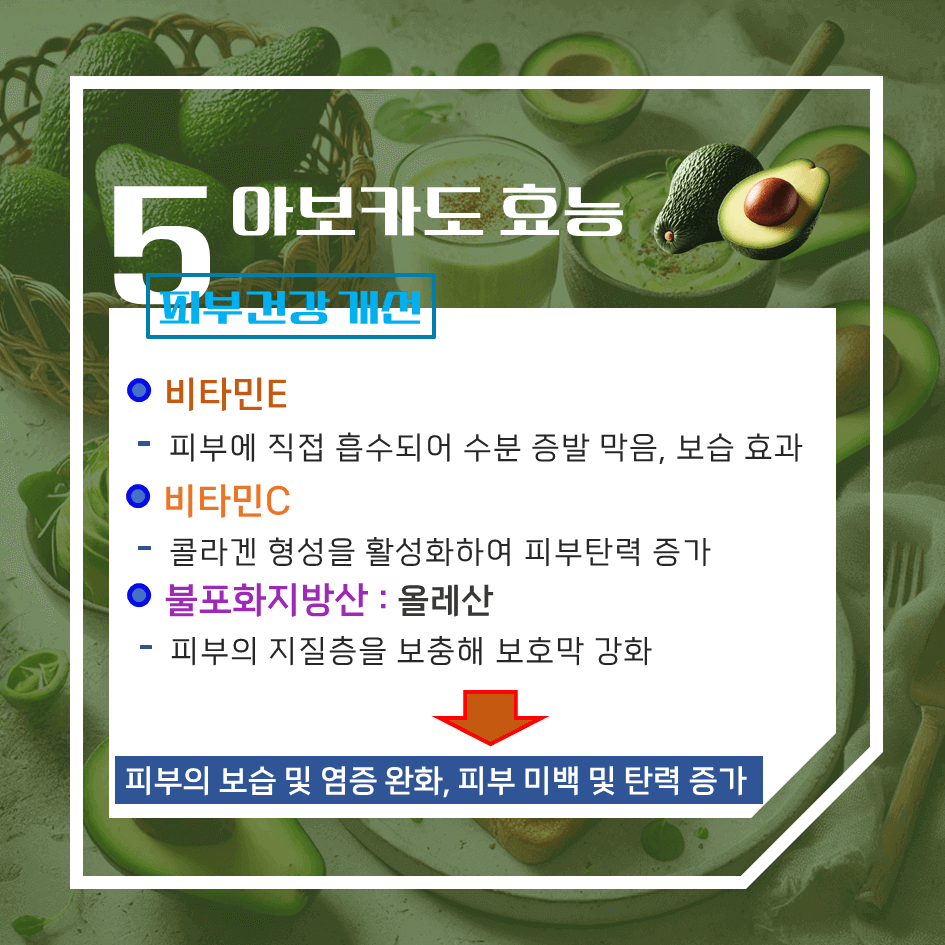 크림처럼 부드러운 녹색보물! 아보카도 효능 & 칼로리 : 매일 먹으면 좋은 이유