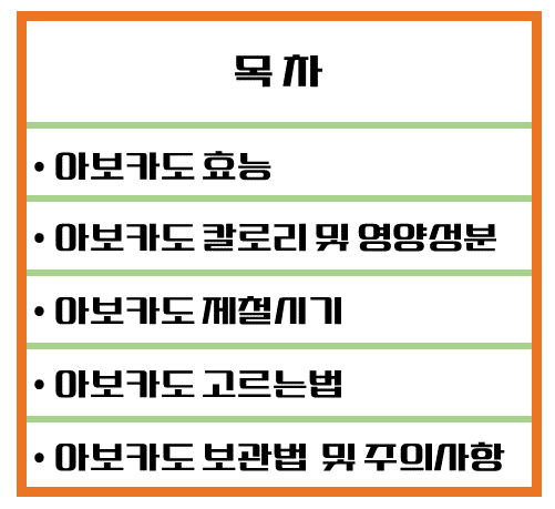 크림처럼 부드러운 녹색보물! 아보카도 효능 & 칼로리 : 매일 먹으면 좋은 이유