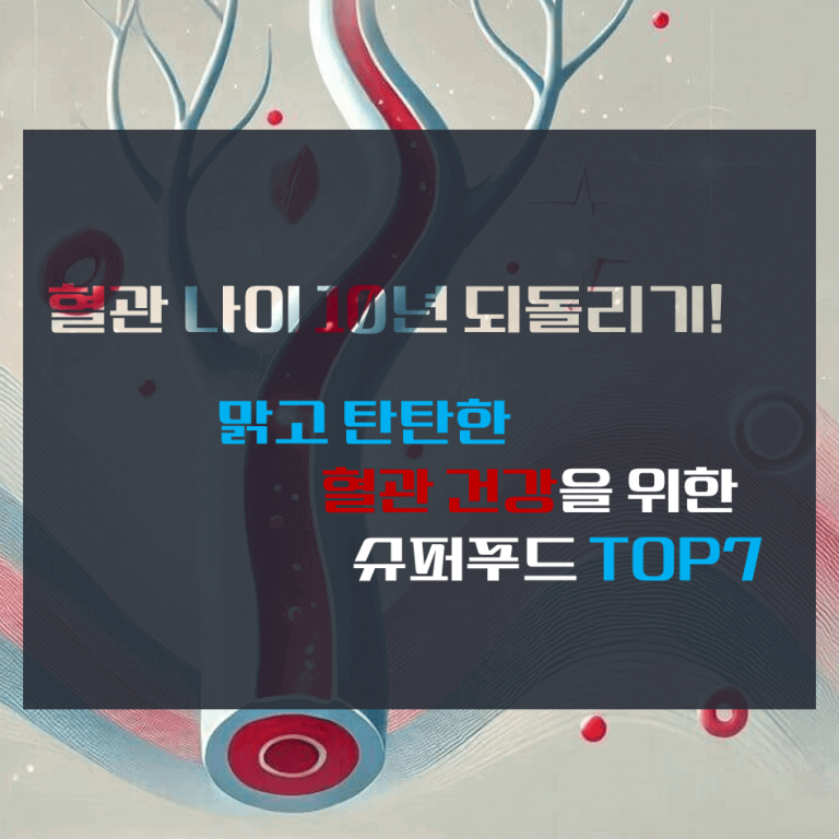 혈관 나이 10년 되돌리기! 맑고 탄탄한 혈관 건강을 위한 슈퍼푸드 TOP 7