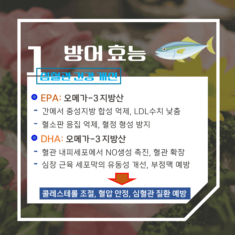겨울의 진미! 방어 효능 & 칼로리 : 이 계절 꼭 먹어야 하는 이유