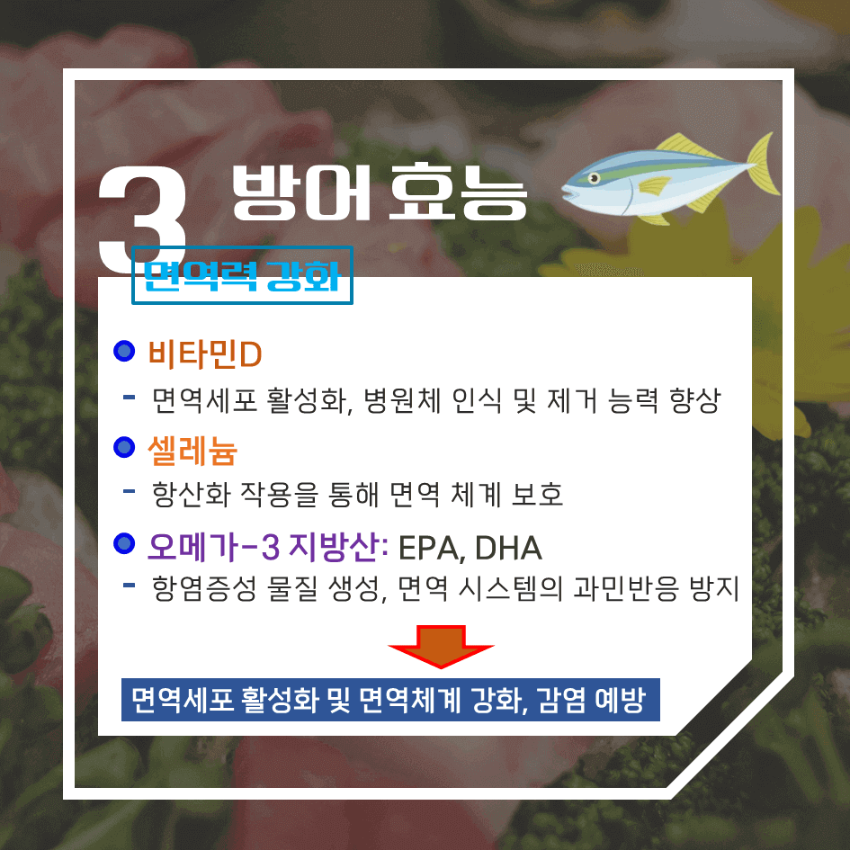 겨울의 진미! 방어 효능 & 칼로리 : 이 계절 꼭 먹어야 하는 이유