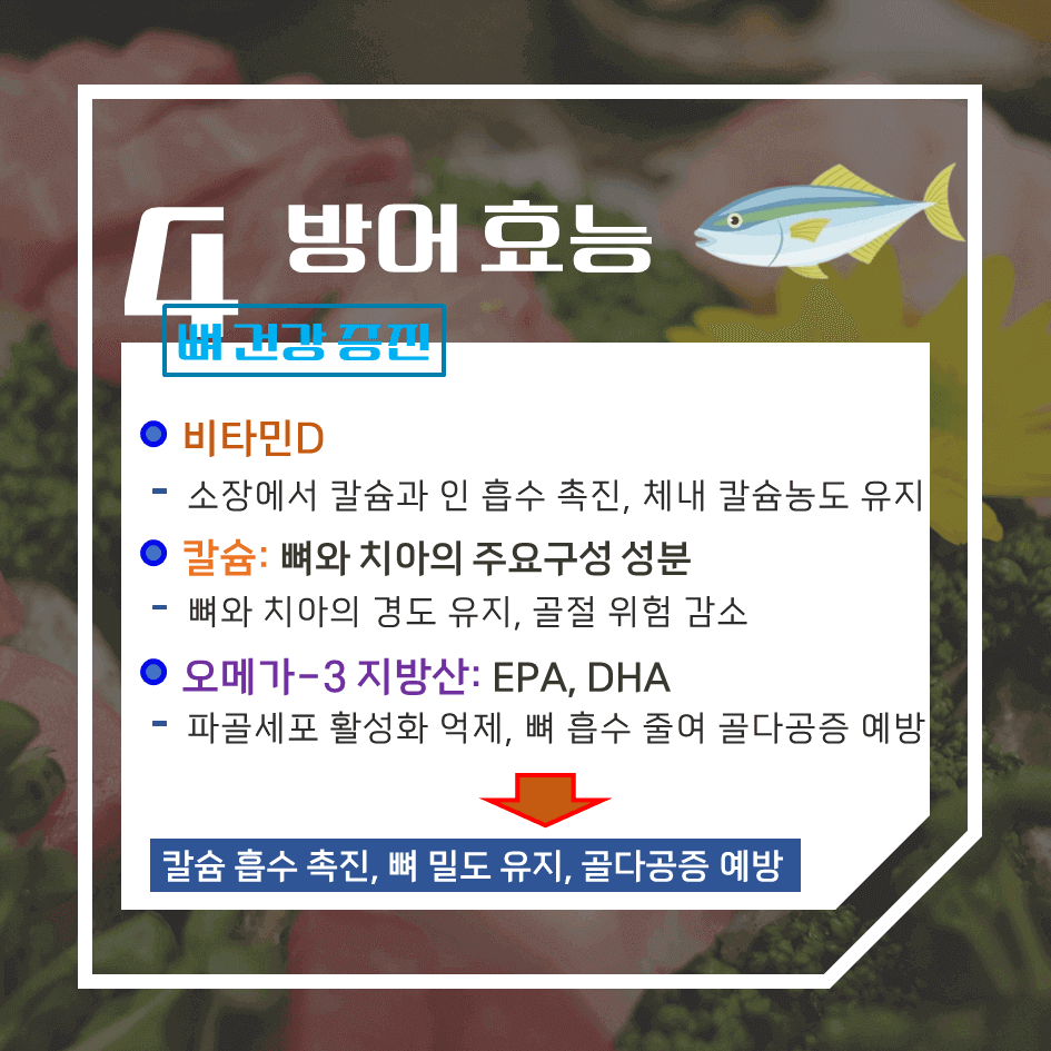 겨울의 진미! 방어 효능 & 칼로리 : 이 계절 꼭 먹어야 하는 이유